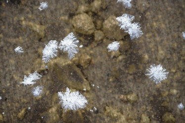 Similar image 21546160