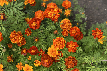 Similar image 21540647