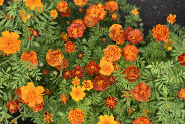 Similar image 21540648