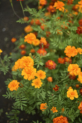 Similar image 21540649