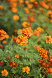 Similar image 21540650