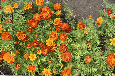 Similar image 21540651