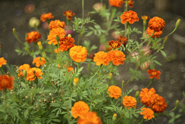 Similar image 21540656