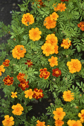 Similar image 21540660