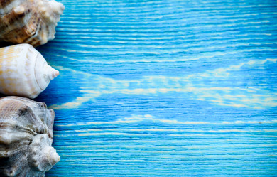 Similar image 21547111