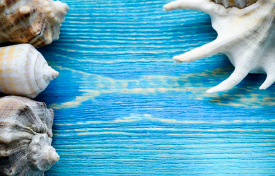 Similar image 21545056