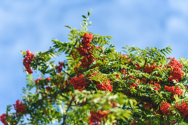 Similar image 21545073