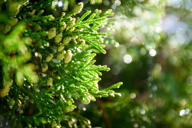 Similar image 21545075