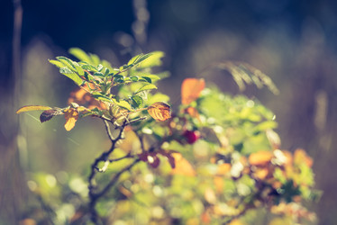 Similar image 21545079