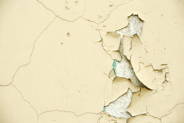 Similar image 21545080