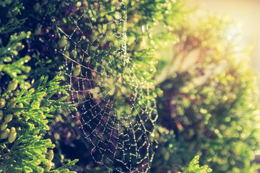 Similar image 21545081