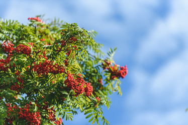 Similar image 21545083