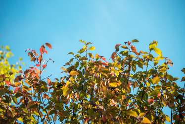 Similar image 21545084