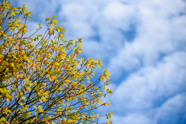 Similar image 21545085