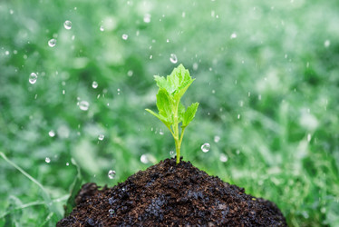 Similar image 21545087