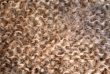 Similar image 21545089