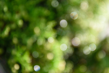 Similar image 21545092