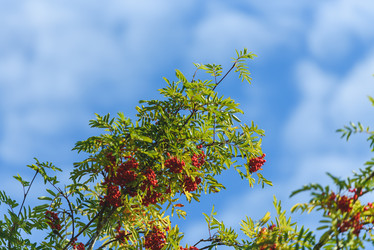 Similar image 21545093