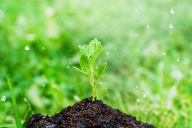 Similar image 21545095