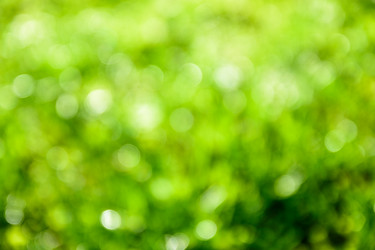 Similar image 21545214