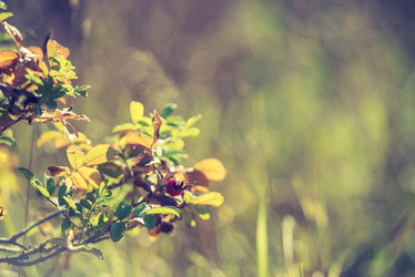 Similar image 21545215