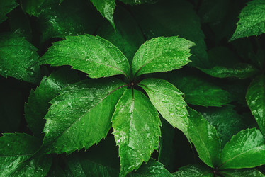 Similar image 21545217