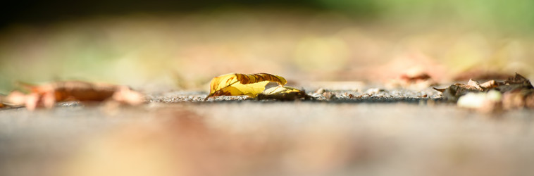 Similar image 21545491