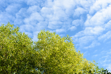 Similar image 21545493