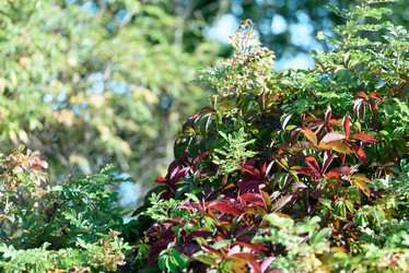 Similar image 21545496