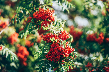 Similar image 21545499