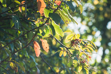 Similar image 21545501