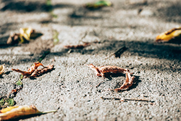 Similar image 21545503