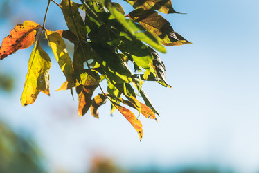 Similar image 21545505