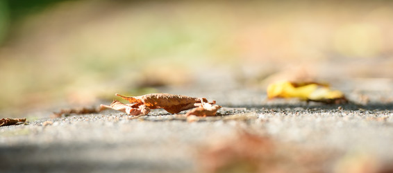 Similar image 21545510