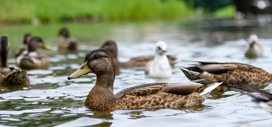 Similar image 21545511