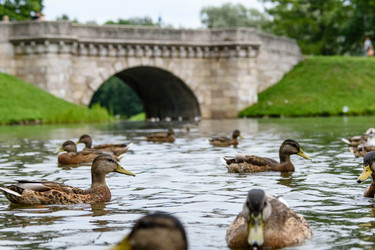 Similar image 21545515