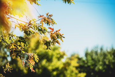 Similar image 21545734