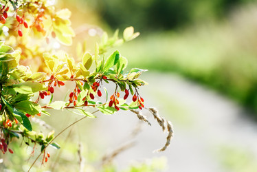 Similar image 21545738