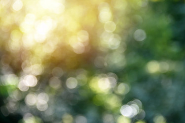 Similar image 21545741