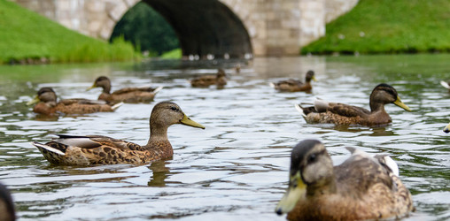 Similar image 21545743