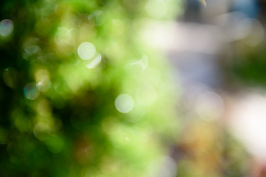 Similar image 21545744