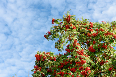 Similar image 21545745