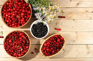 Similar image 21540675