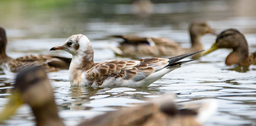 Similar image 21545746