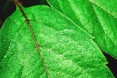 Similar image 21545748