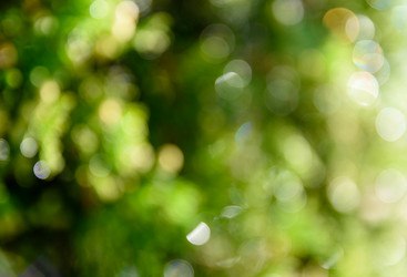 Similar image 21545752