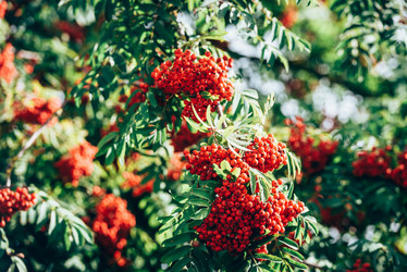 Similar image 21545753