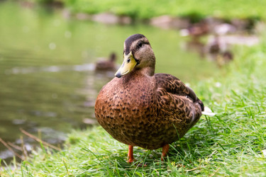 Similar image 21545757