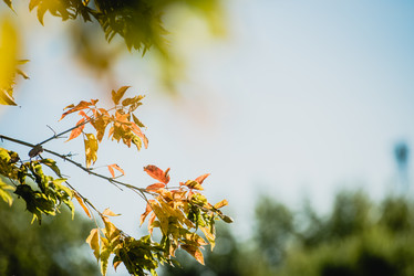 Similar image 21545763