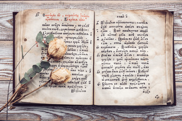 Similar image 21545768